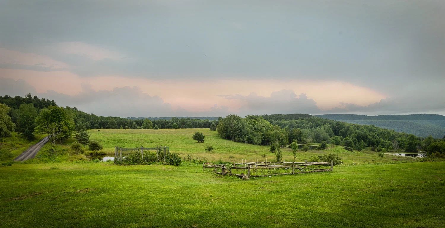 The open meadow at Twelve Ponds under a pink evening sky.