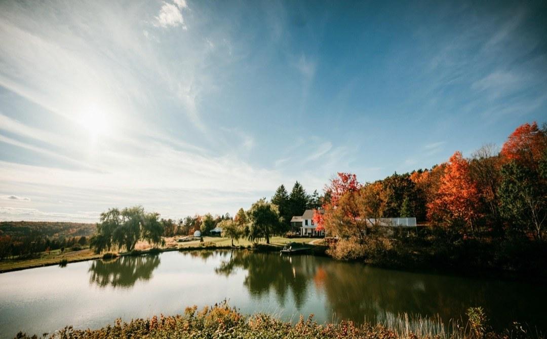A still pond at Twelve Ponds reflecting an autumn willow and distant hills — the kind of view Fangor watched daily.